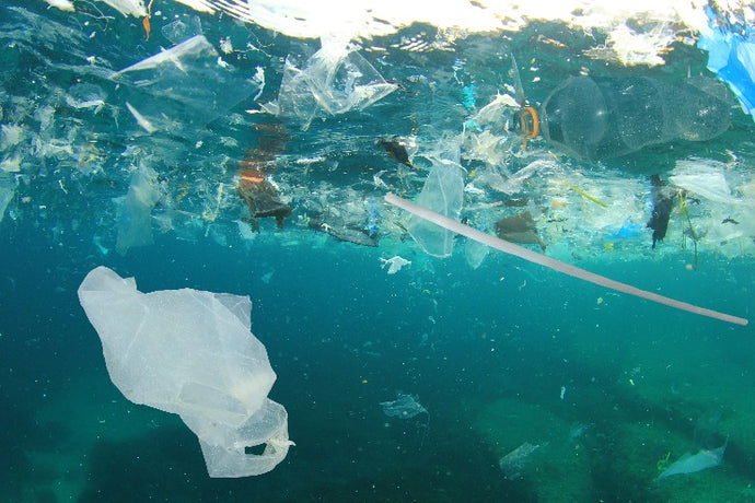 ocean with plastic pollution floating | Lumiere Paris